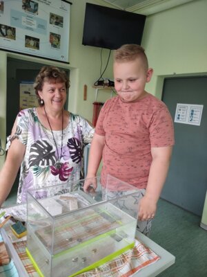 Foto des Albums: Forscherstunden in der FLEX A1-(Primarforscher)-Schwimmen und Sinken (06. 07. 2023)