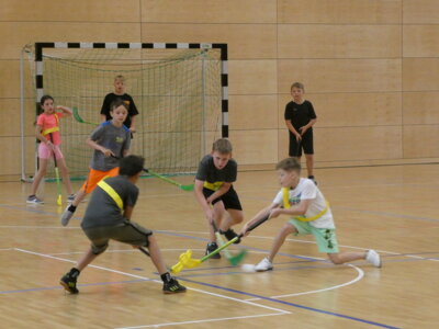 P1000681  (Bild vergr&ouml;&szlig;ern)