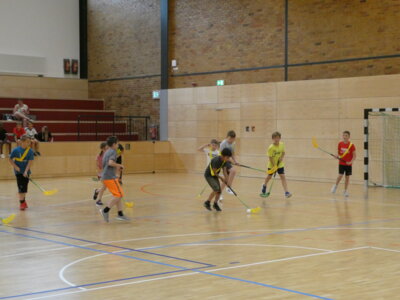 P1000683  (Bild vergr&ouml;&szlig;ern)