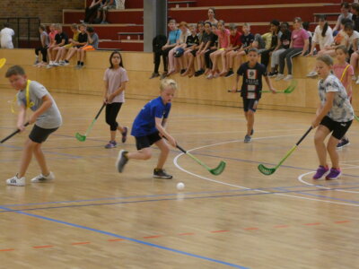 P1000688  (Bild vergr&ouml;&szlig;ern)