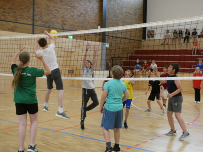 P1000768  (Bild vergr&ouml;&szlig;ern)