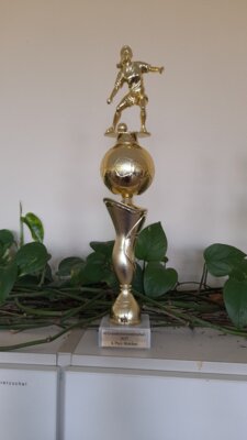 Foto des Albums: Finalrunde der Fußballgrundschulmeisterschaften der Mädchen