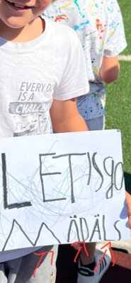 Foto des Albums: Finalrunde der Fußballgrundschulmeisterschaften der Mädchen