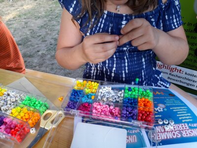 Foto des Albums: Quartierfest