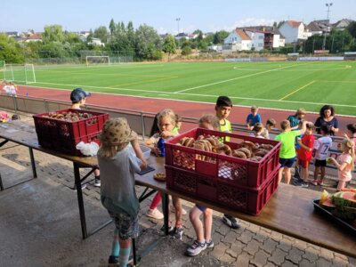 Foto des Albums: Sportfest 2023