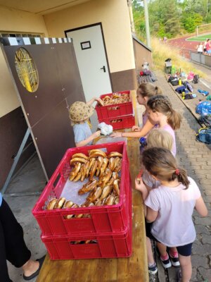 Foto des Albums: Sportfest 2023
