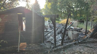 Foto des Albums: Wohnwagen und Hütte Campingplatz