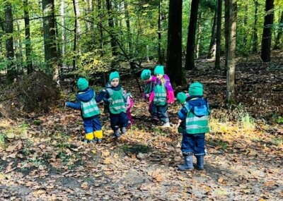 Foto des Albums: Waldwoche