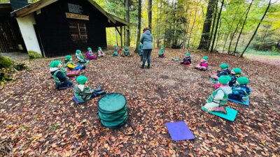 Foto des Albums: Waldwoche