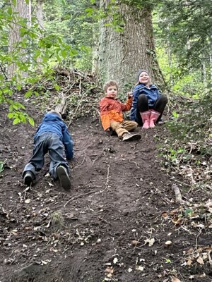 Foto des Albums: ProjekttageSchulfest