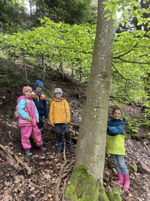 Foto des Albums: ProjekttageSchulfest