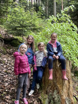 Foto des Albums: ProjekttageSchulfest