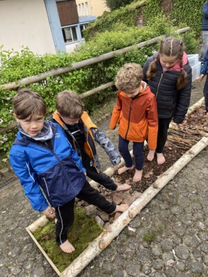 Foto des Albums: ProjekttageSchulfest