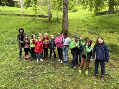 Foto des Albums: ProjekttageSchulfest