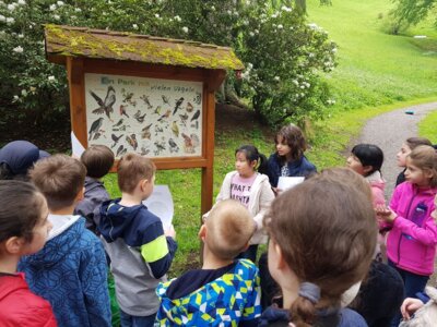 Foto des Albums: ProjekttageSchulfest