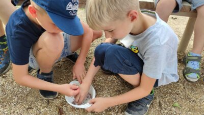 Foto des Albums: Sommerferien 23