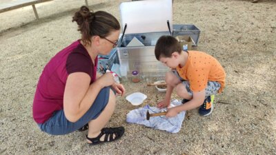 Foto des Albums: Sommerferien 23