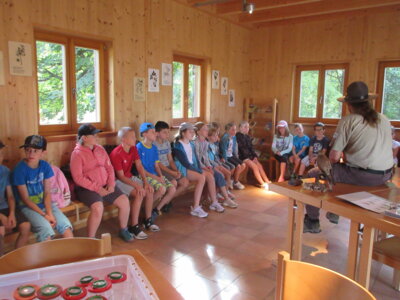 Foto des Albums: Tröstauer Kinder in Grassemann mit Naturparkrangern (14. 07. 2023)