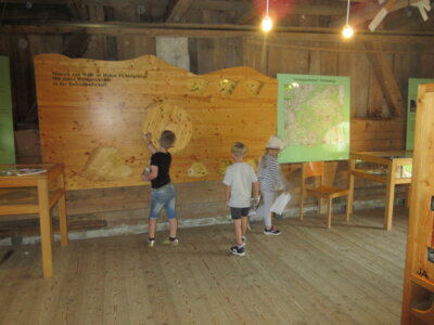 Foto des Albums: Tröstauer Kinder in Grassemann mit Naturparkrangern (14. 07. 2023)