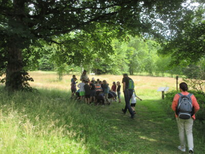 Foto des Albums: Tröstauer Kinder in Grassemann mit Naturparkrangern (14. 07. 2023)