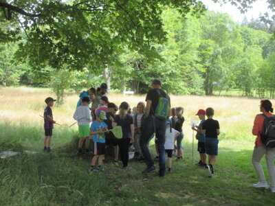 Foto des Albums: Tröstauer Kinder in Grassemann mit Naturparkrangern (14. 07. 2023)