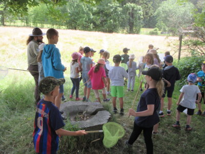 Foto des Albums: Tröstauer Kinder in Grassemann mit Naturparkrangern (14. 07. 2023)