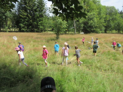 Foto des Albums: Tröstauer Kinder in Grassemann mit Naturparkrangern (14. 07. 2023)