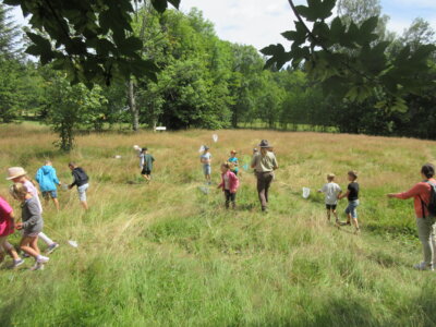 Foto des Albums: Tröstauer Kinder in Grassemann mit Naturparkrangern (14. 07. 2023)