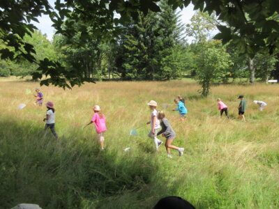 Foto des Albums: Tröstauer Kinder in Grassemann mit Naturparkrangern (14. 07. 2023)