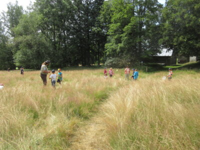 Foto des Albums: Tröstauer Kinder in Grassemann mit Naturparkrangern (14. 07. 2023)