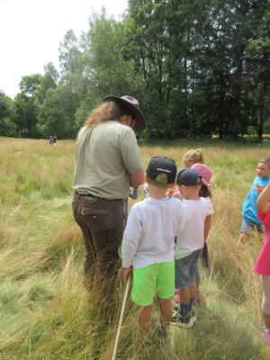 Foto des Albums: Tröstauer Kinder in Grassemann mit Naturparkrangern (14. 07. 2023)