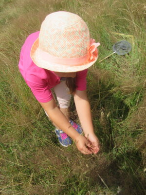 Foto des Albums: Tröstauer Kinder in Grassemann mit Naturparkrangern (14. 07. 2023)