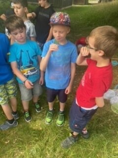 Foto des Albums: Tröstauer Kinder in Grassemann mit Naturparkrangern (14. 07. 2023)