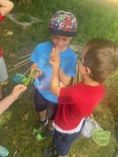 Foto des Albums: Tröstauer Kinder in Grassemann mit Naturparkrangern (14. 07. 2023)