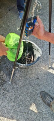 grammgenau wird die Besatzmenge auf die Gew&auml;sser aufgeteilt 