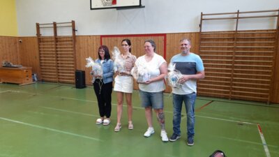Foto des Albums: Verabschiedung Viertklässler 2023