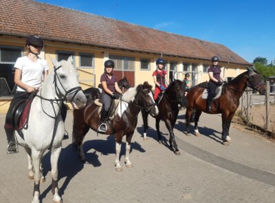 Foto des Albums: Reitintensivwoche 2023 (22.07.2023)