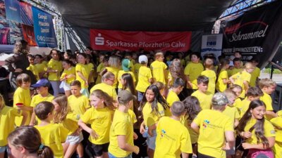 Foto des Albums: Dorffest Enzberg