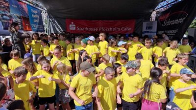 Foto des Albums: Dorffest Enzberg