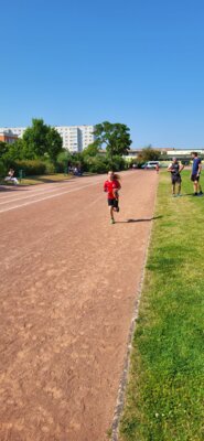 Foto des Albums: Schwedter Sportplatzlauf 11.06.2023