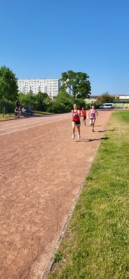 Foto des Albums: Schwedter Sportplatzlauf 11.06.2023