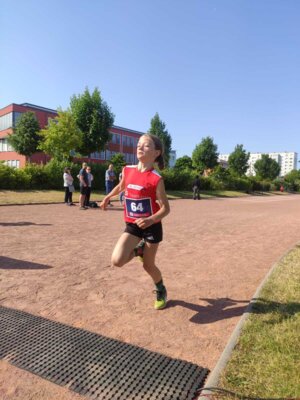 Foto des Albums: Schwedter Sportplatzlauf 11.06.2023