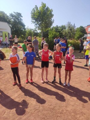 Foto des Albums: Schwedter Sportplatzlauf 11.06.2023
