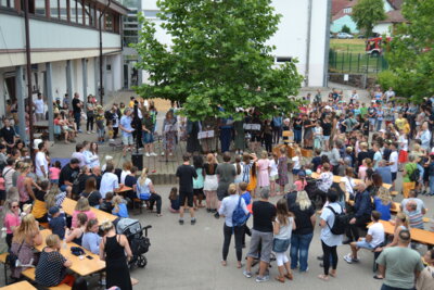 Foto des Albums: Projektwoche „Wälder der Welt“ und Schulfest