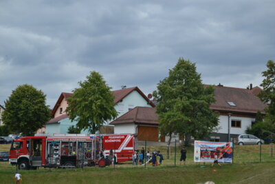 Foto des Albums: Projektwoche „Wälder der Welt“ und Schulfest