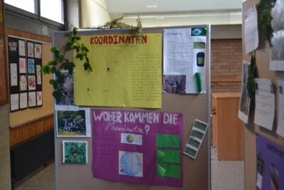 Foto des Albums: Projektwoche „Wälder der Welt“ und Schulfest