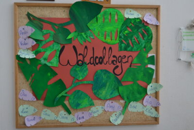 Foto des Albums: Projektwoche „Wälder der Welt“ und Schulfest
