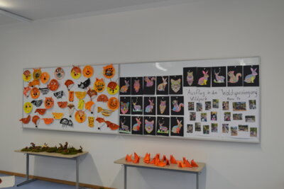 Foto des Albums: Projektwoche „Wälder der Welt“ und Schulfest