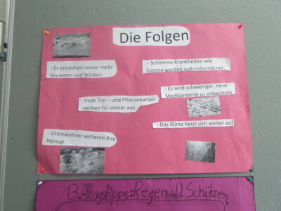 Foto des Albums: Projektwoche „Wälder der Welt“ und Schulfest