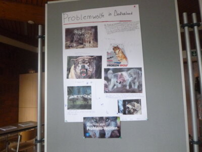Foto des Albums: Projektwoche „Wälder der Welt“ und Schulfest